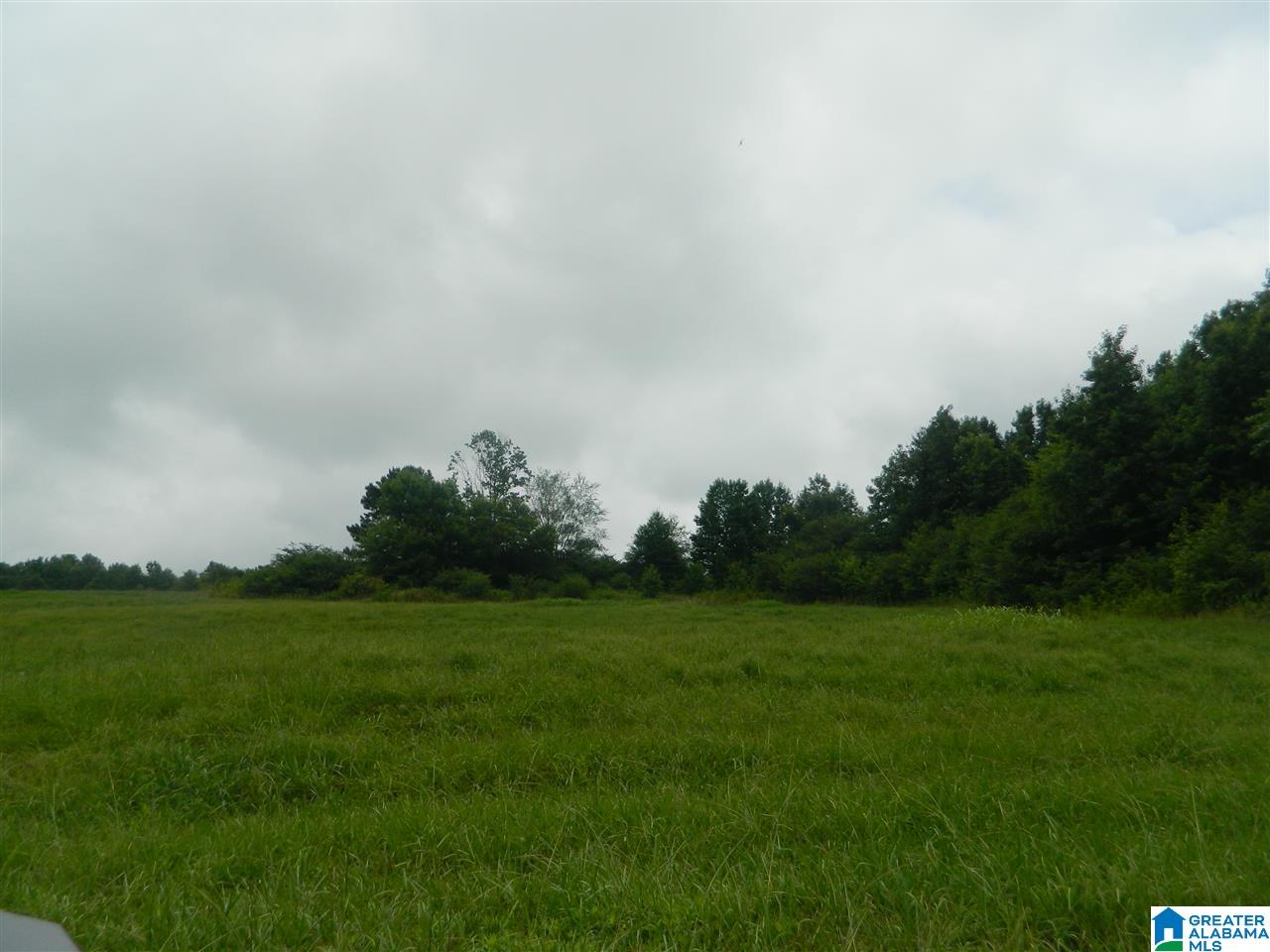 0 County Road 76 Cullman, AL 35057 - Photo 7 of 14