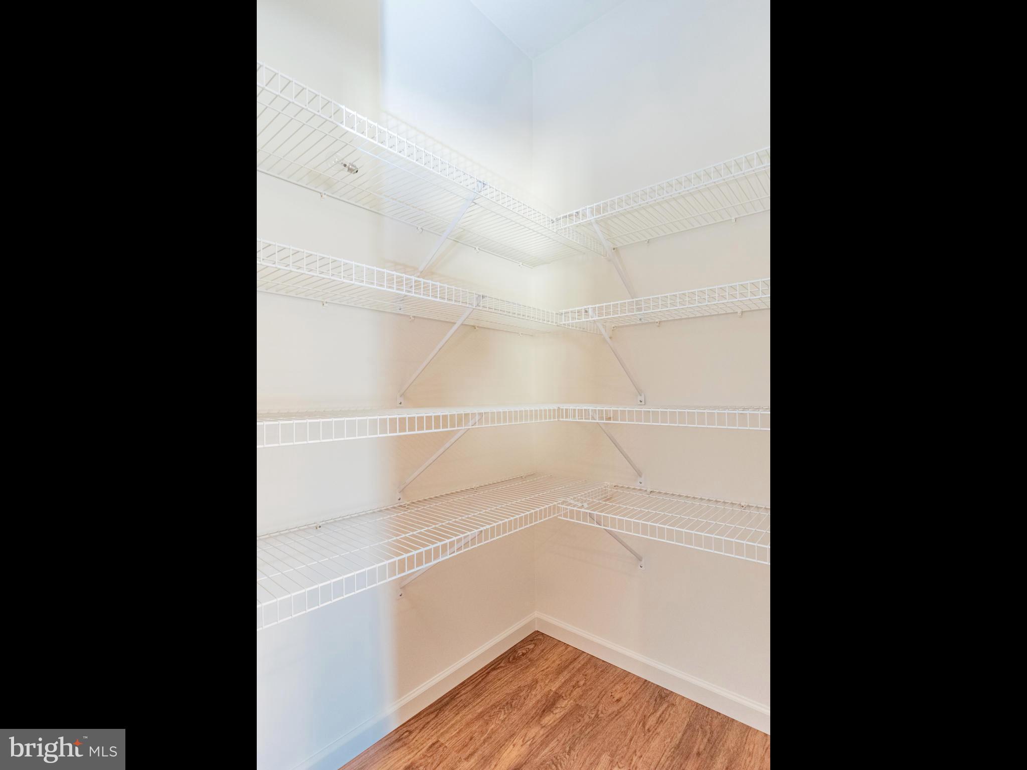403 Laurel Rdg Path Cochranville, PA 19330 - Photo 14 of 42 generous walk in pantry