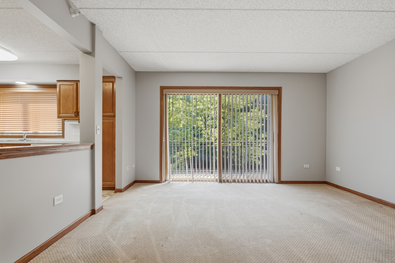 10 South Wille Street, Unit 209 Mount Prospect, IL 60056 - Photo 16 of 28
