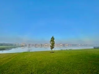 a view of a lake with a yard