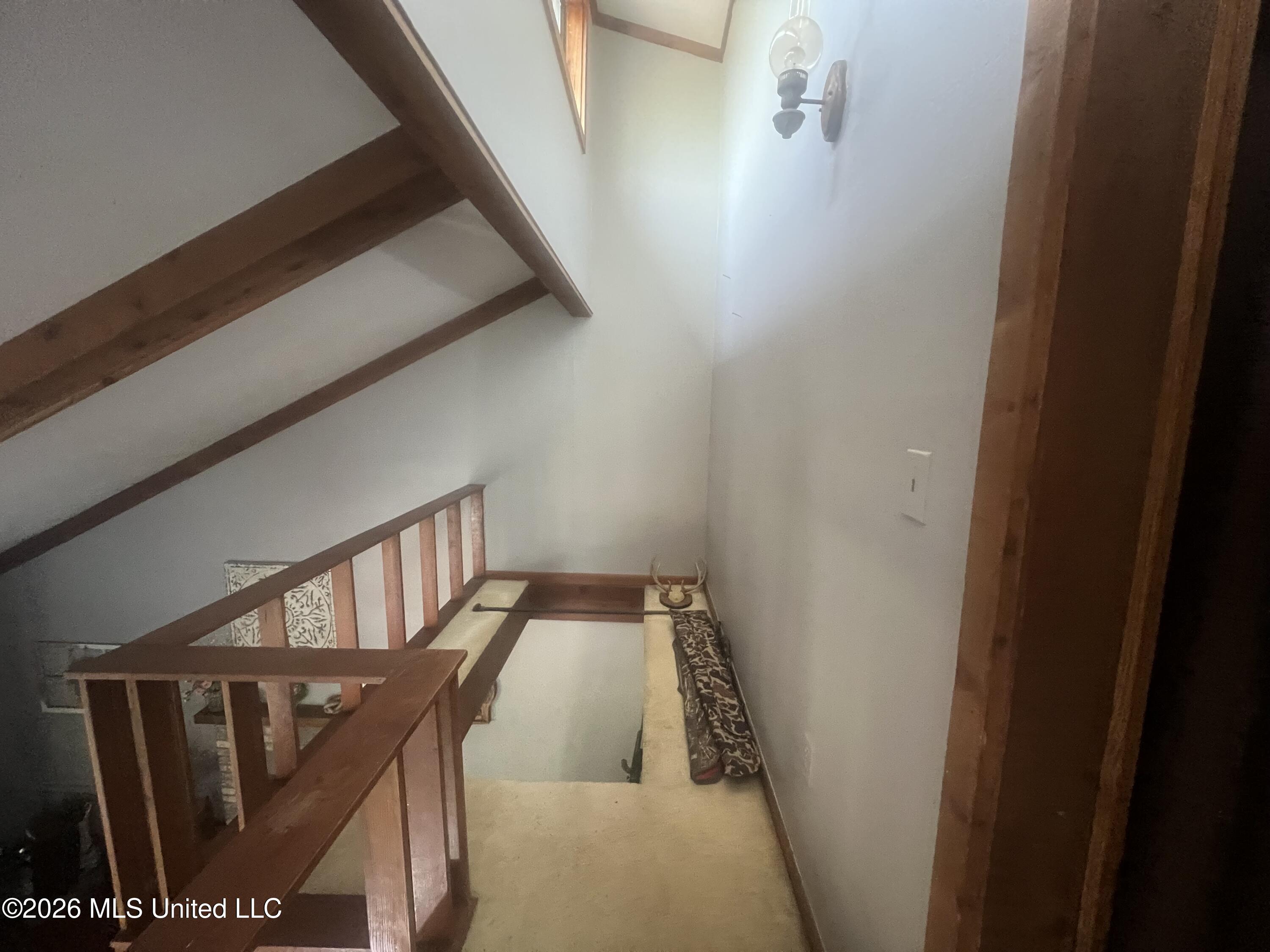 251 Copperhead Road Carthage, MS 39051 - Photo 12 of 24 IMG_2148