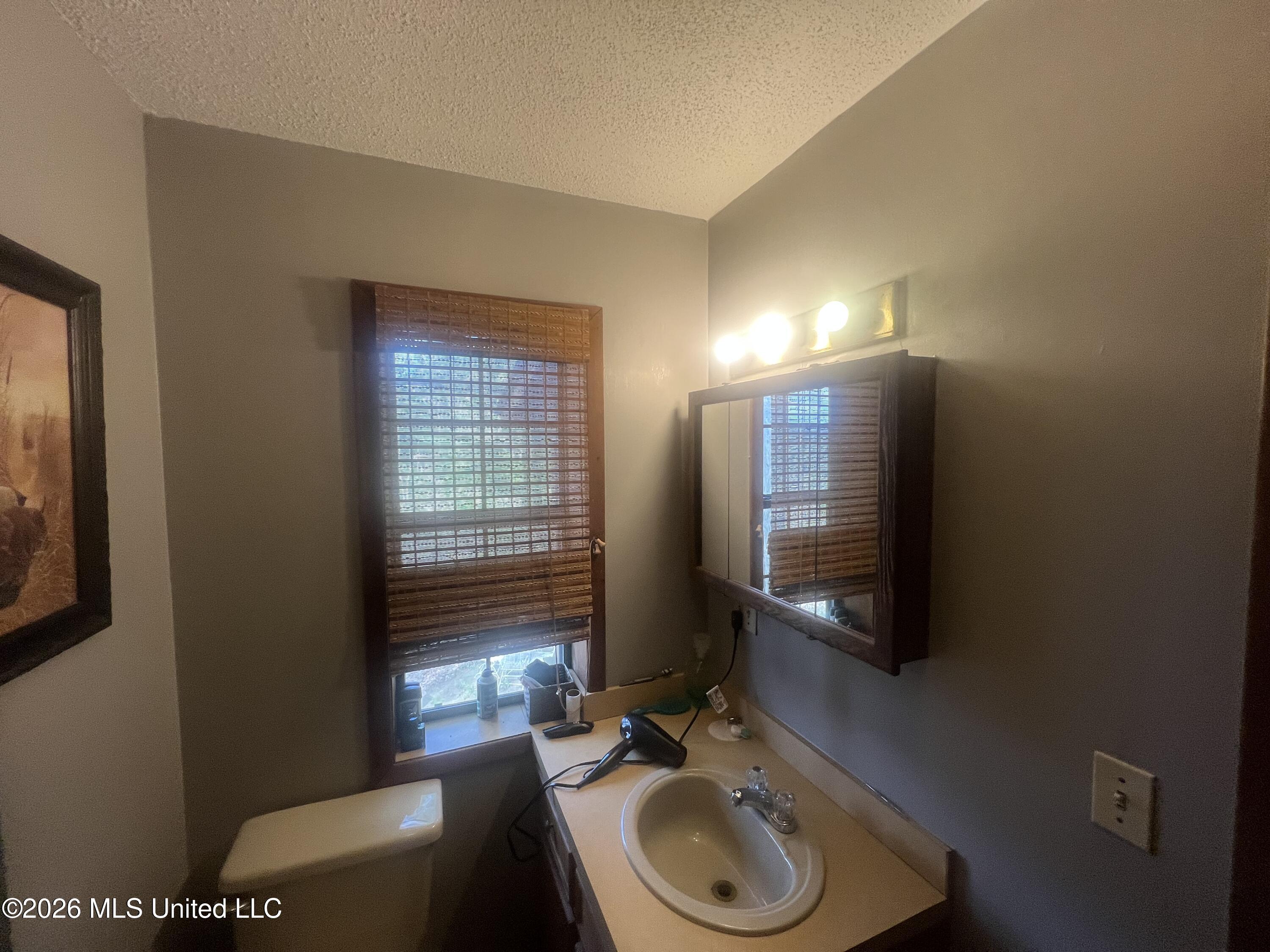 251 Copperhead Road Carthage, MS 39051 - Photo 17 of 24 IMG_2143