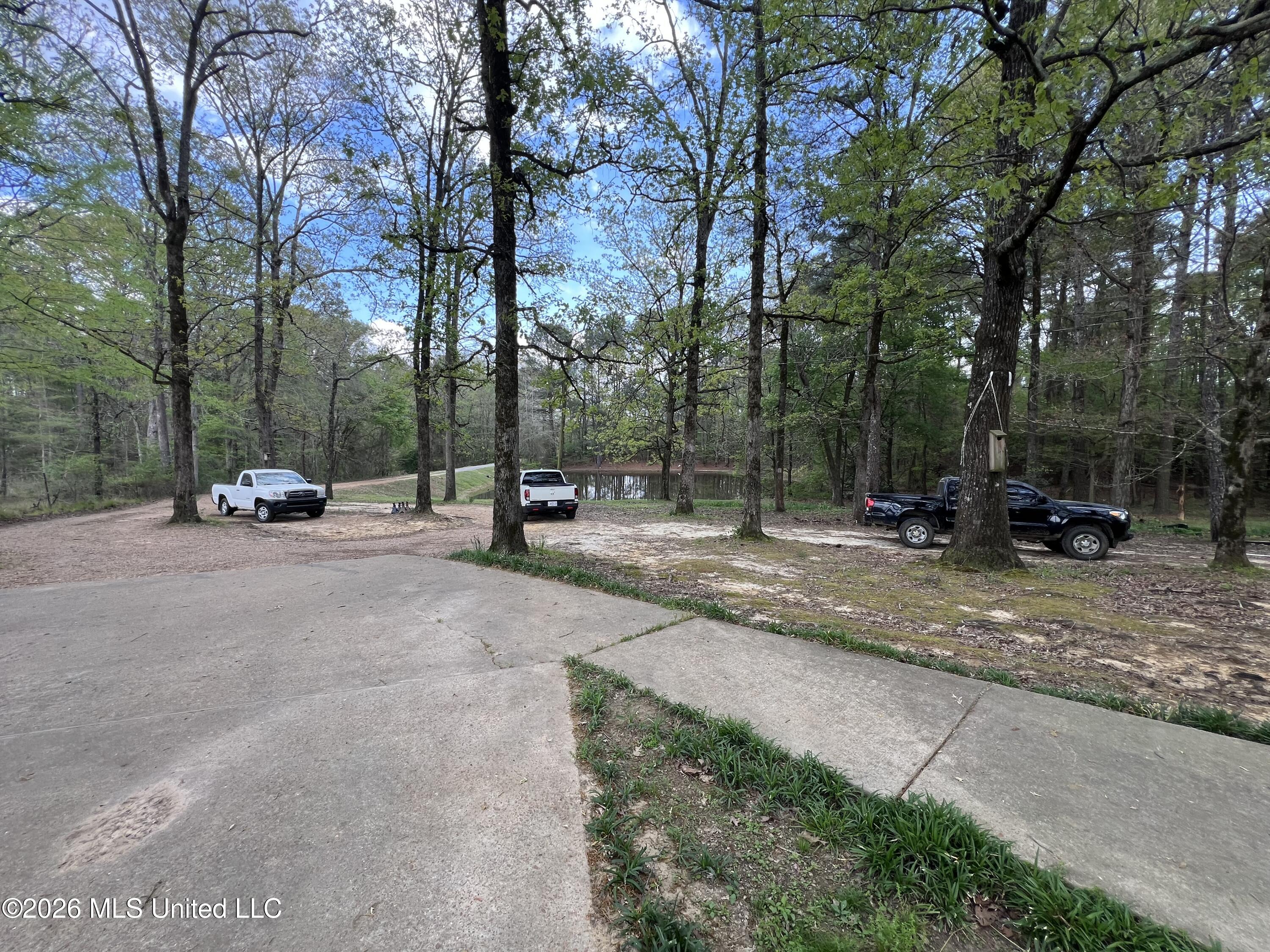 251 Copperhead Road Carthage, MS 39051 - Photo 4 of 24 IMG_2159