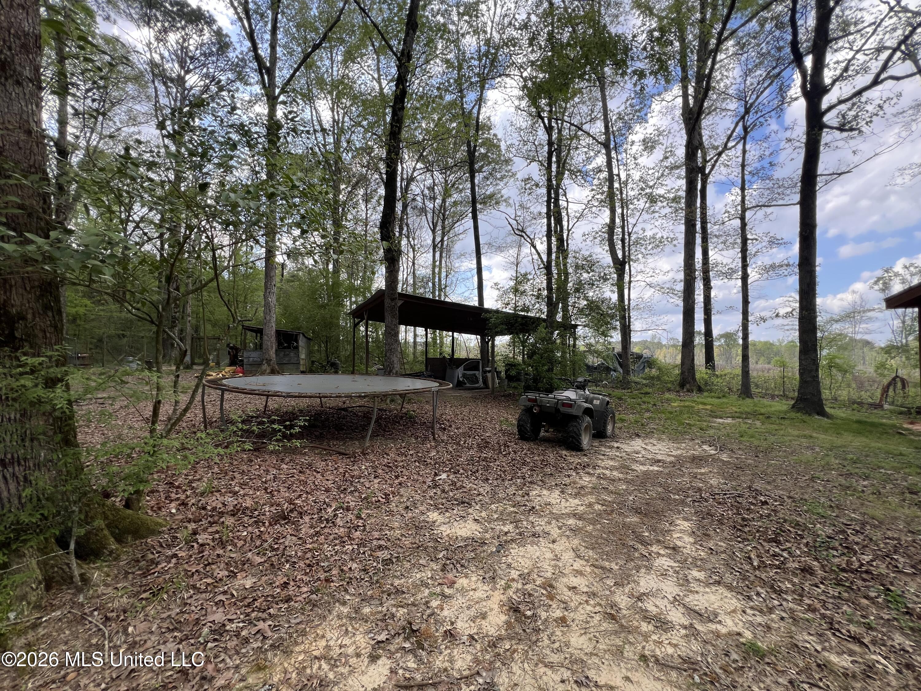 251 Copperhead Road Carthage, MS 39051 - Photo 7 of 24 IMG_2154