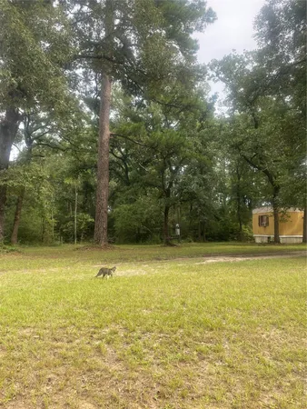 $75,000 | 137 Camp Road, Trinity, TX 75862