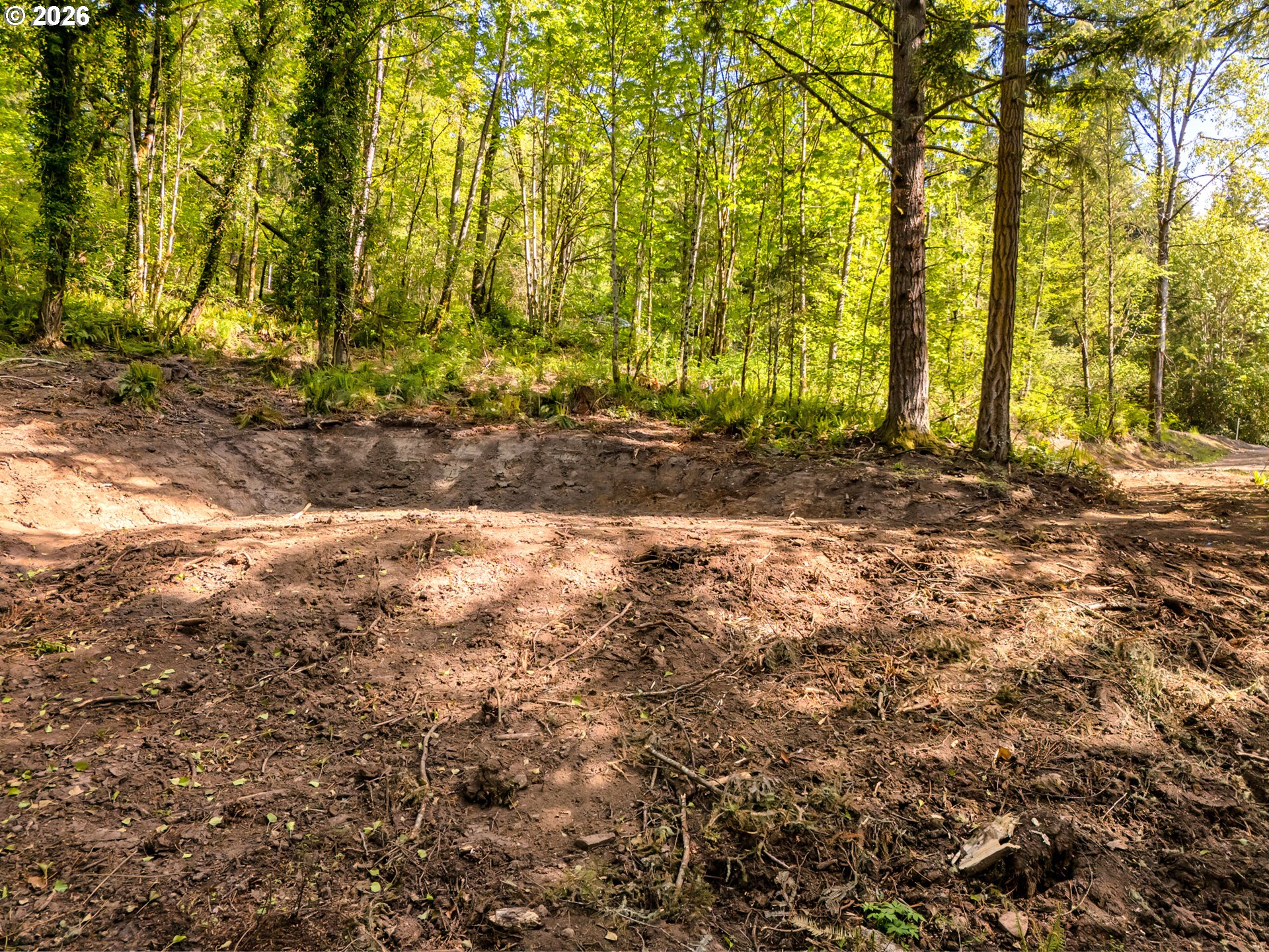 147 Old Spreadborough Road Kalama, WA 98625 - Photo 2 of 12