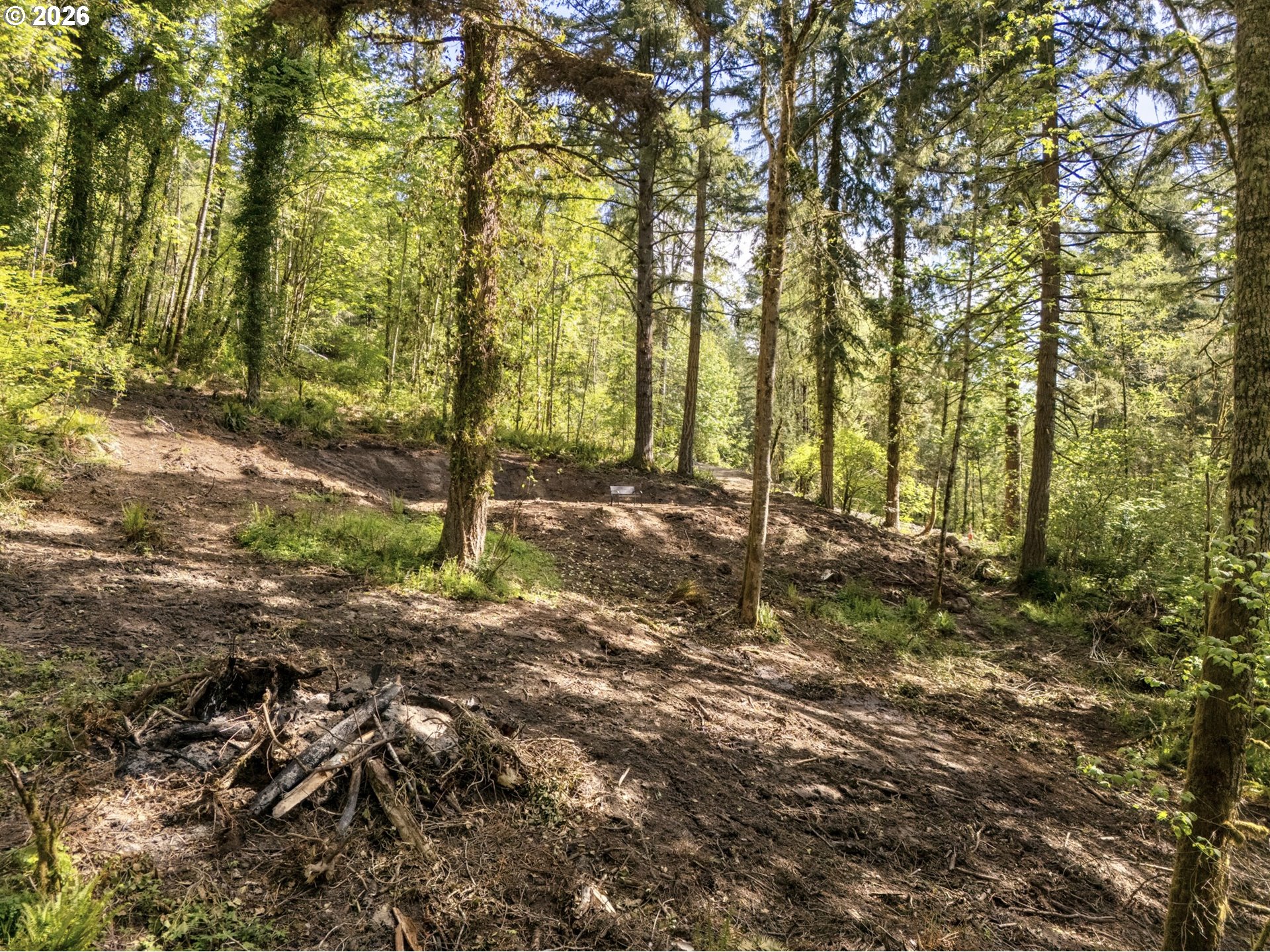 147 Old Spreadborough Road Kalama, WA 98625 - Photo 3 of 12