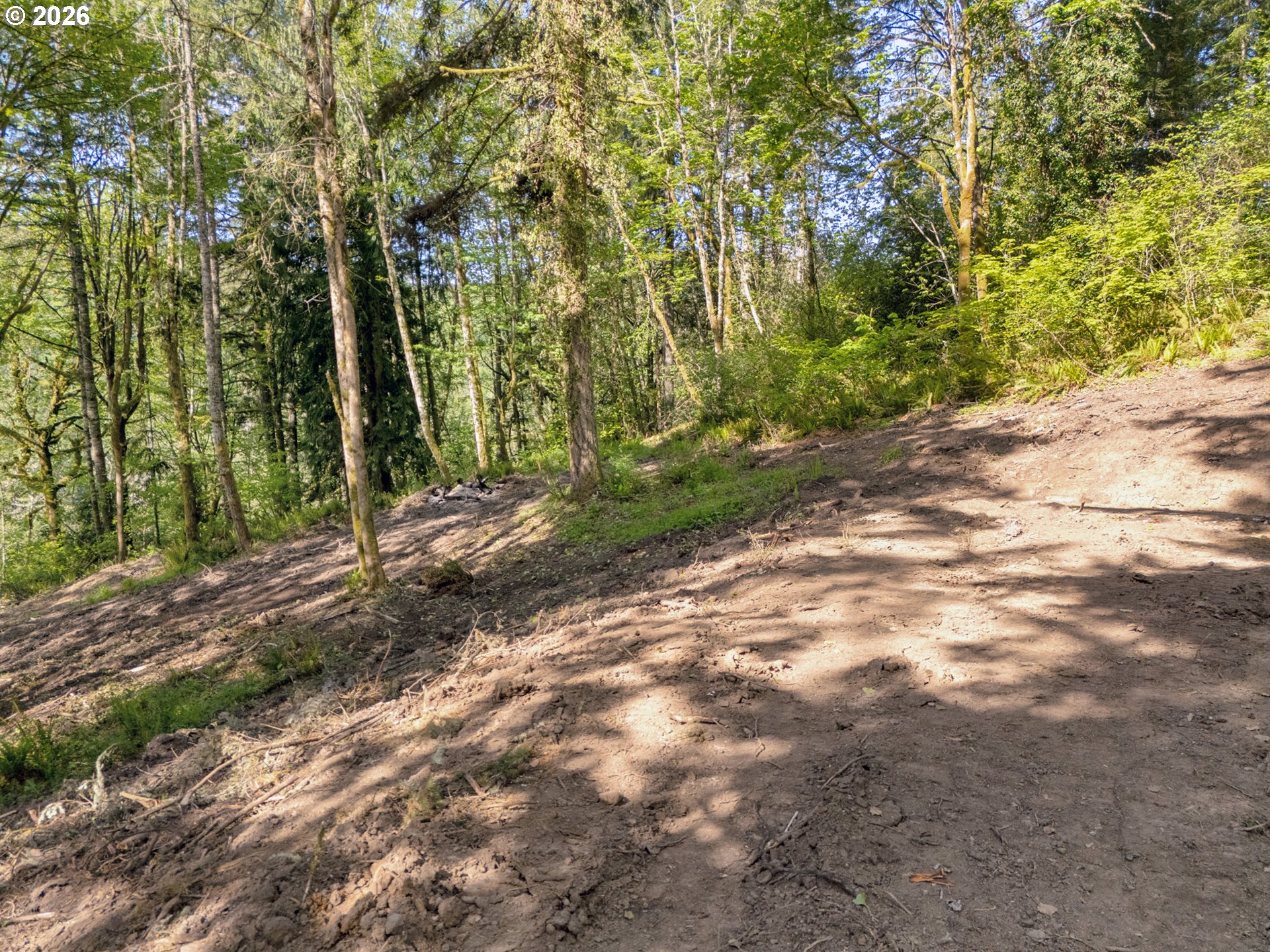 147 Old Spreadborough Road Kalama, WA 98625 - Photo 4 of 12