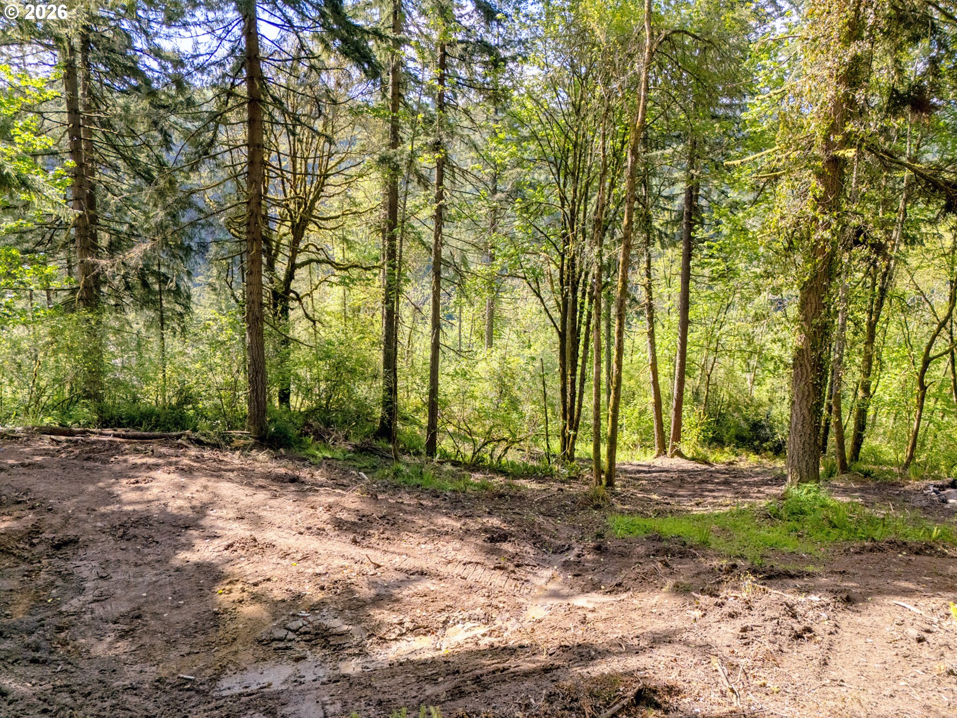 147 Old Spreadborough Road Kalama, WA 98625 - Photo 5 of 12