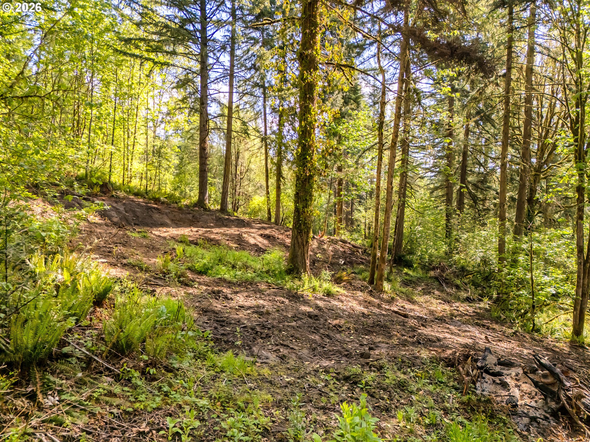 147 Old Spreadborough Road Kalama, WA 98625 - Photo 6 of 12