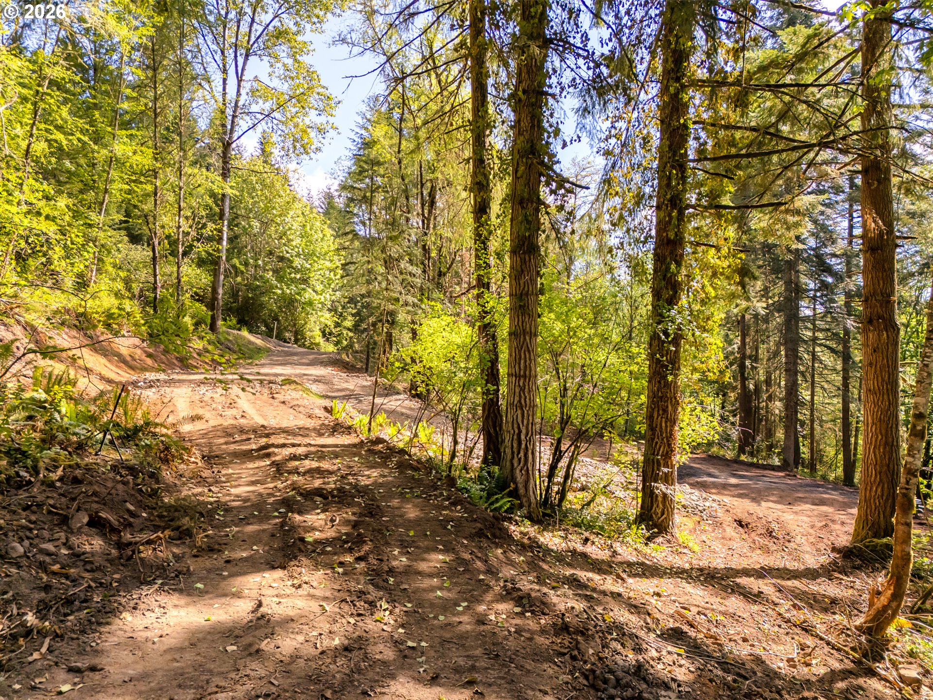 147 Old Spreadborough Road Kalama, WA 98625 - Photo 7 of 12