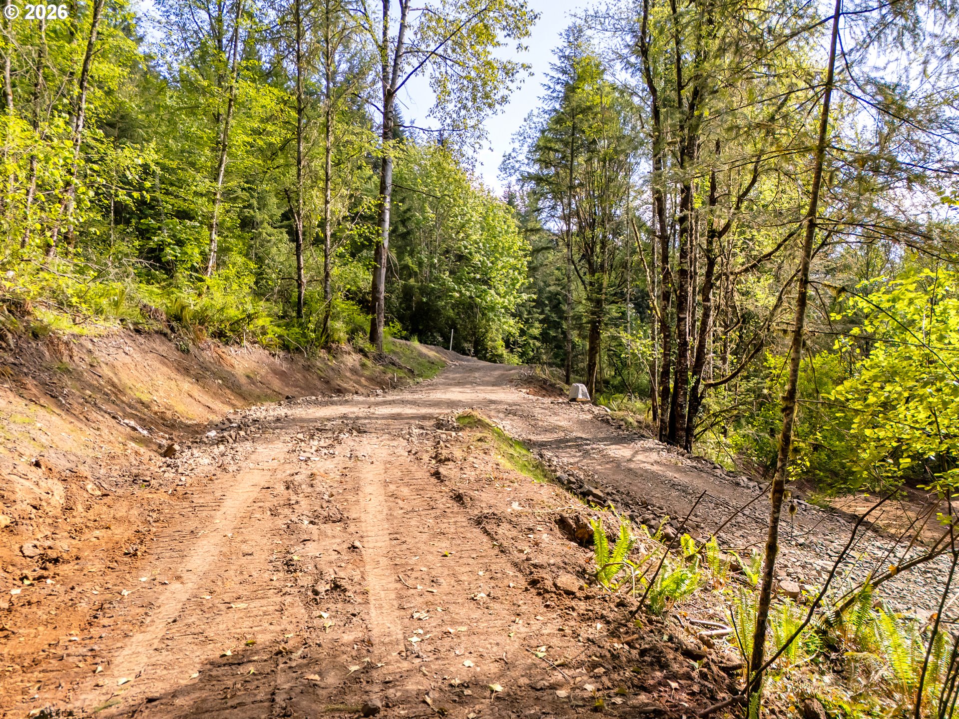 147 Old Spreadborough Road Kalama, WA 98625 - Photo 8 of 12