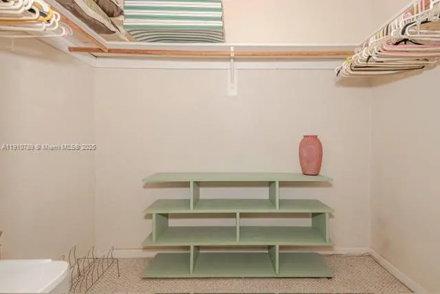 a view of a room with racks on the wall