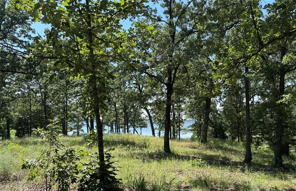 a view of trees and small yard