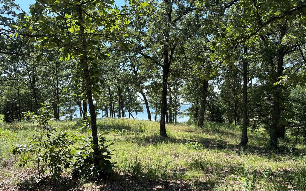 Tbd Indian Gap Road Quitman, TX 75783 - Photo 12 of 21 a view of yard with green space