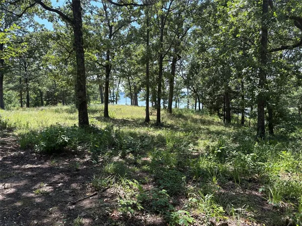 a big yard with lots of green space and deers