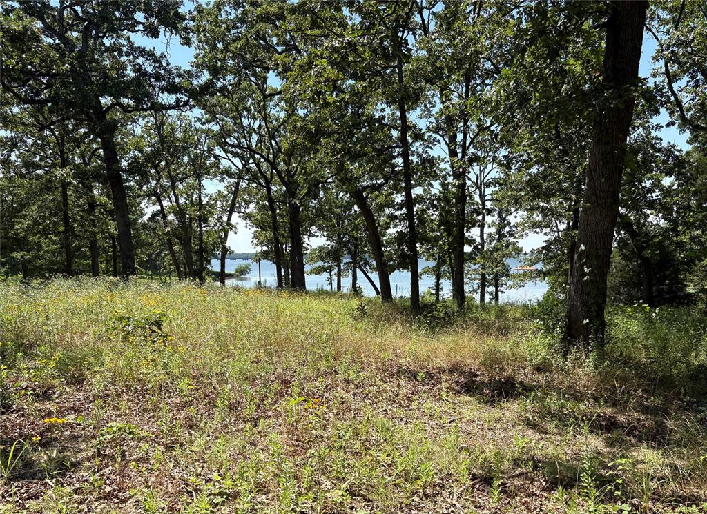 Tbd Indian Gap Road Quitman, TX 75783 - Photo 15 of 21 a view of backyard with green space