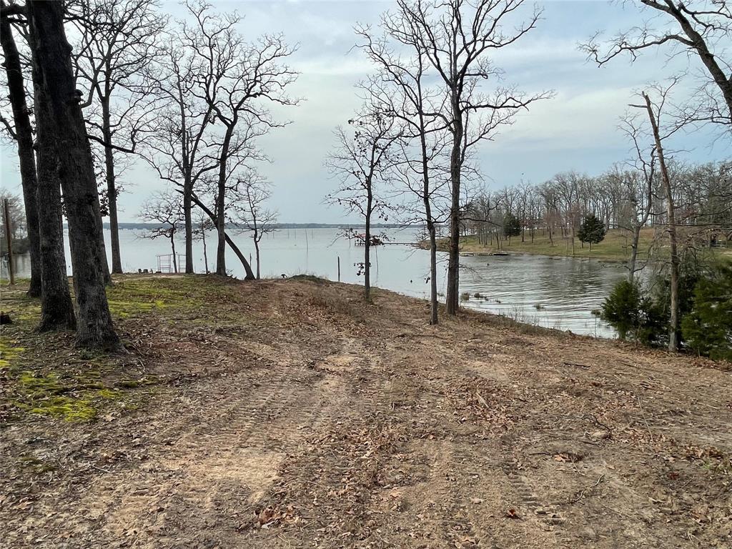 Tbd Indian Gap Road Quitman, TX 75783 - Photo 18 of 21 a view of a yard with large trees