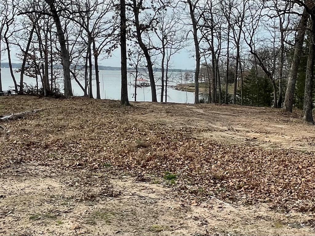Tbd Indian Gap Road Quitman, TX 75783 - Photo 19 of 21 a view of road and trees