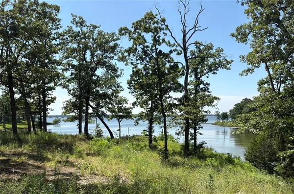 a view of backyard with green space