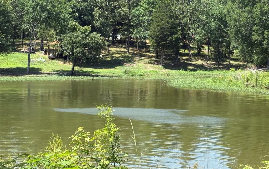 Tbd Indian Gap Road Quitman, TX 75783 - Photo 5 of 21 a view of a lake with a yard