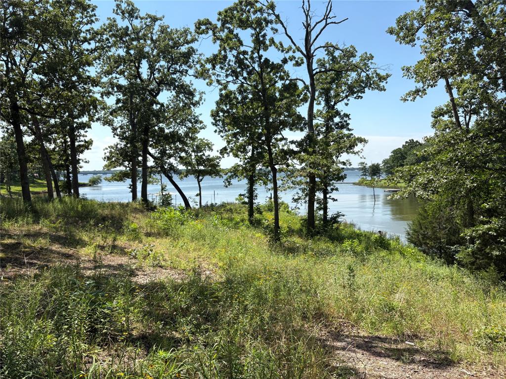 Tbd Indian Gap Road Quitman, TX 75783 - Photo 6 of 21 a view of yard