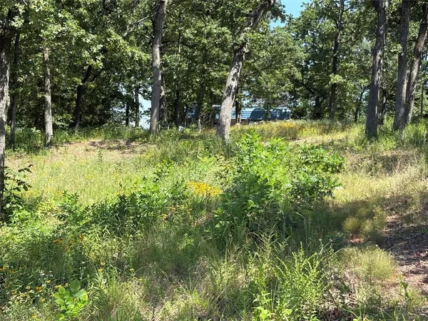 a view of backyard with green space