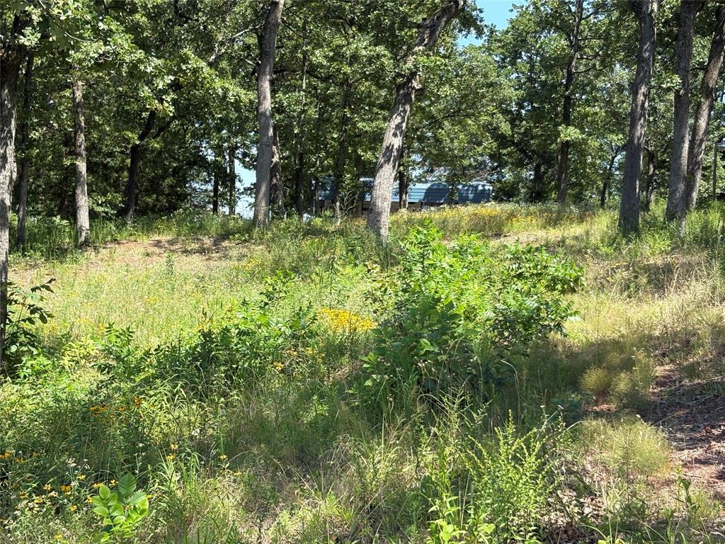 Tbd Indian Gap Road Quitman, TX 75783 - Photo 7 of 21 a view of backyard with green space
