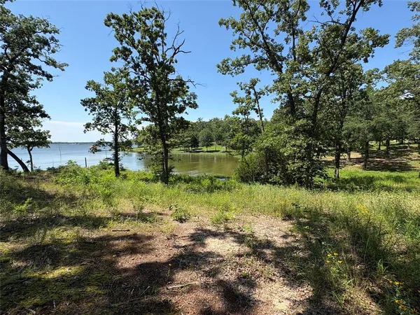 a view of a garden with a lake