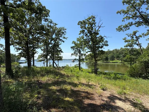 a view of a lake with a tree