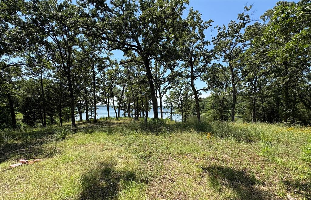 Tbd Indian Gap Road Quitman, TX 75783 - Photo 10 of 21 a backyard of a house with lots of green space