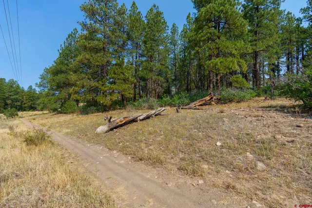 $499,000 | 173 Canyon Creek Trail, Durango, CO 81303