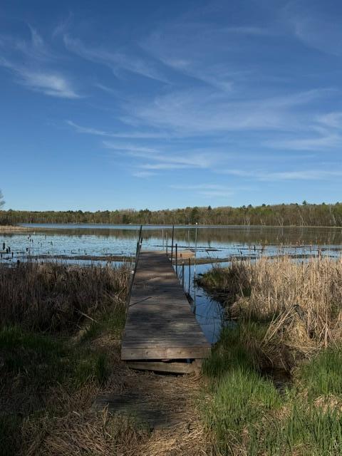 3 County Road 3 Merrifield, MN 56465 - Photo 22 of 36