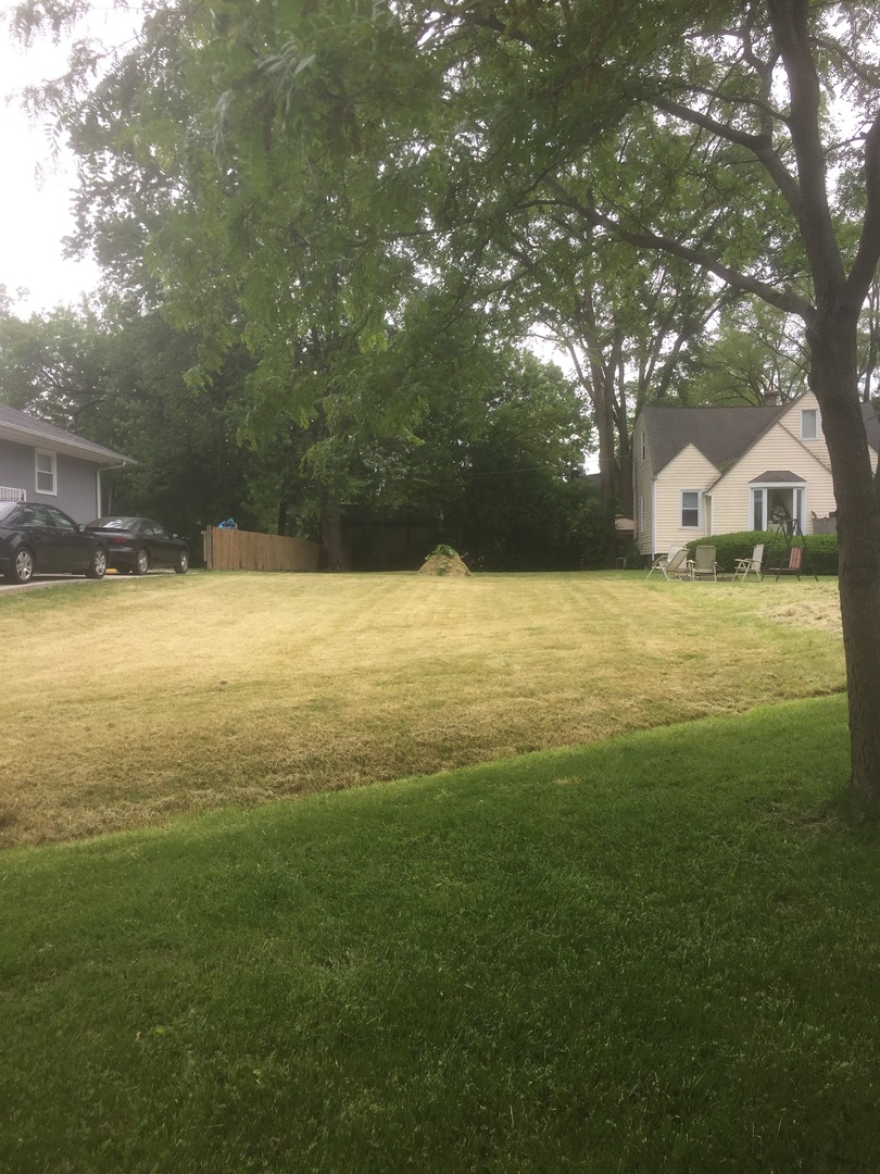 a view of yard with tree and green space