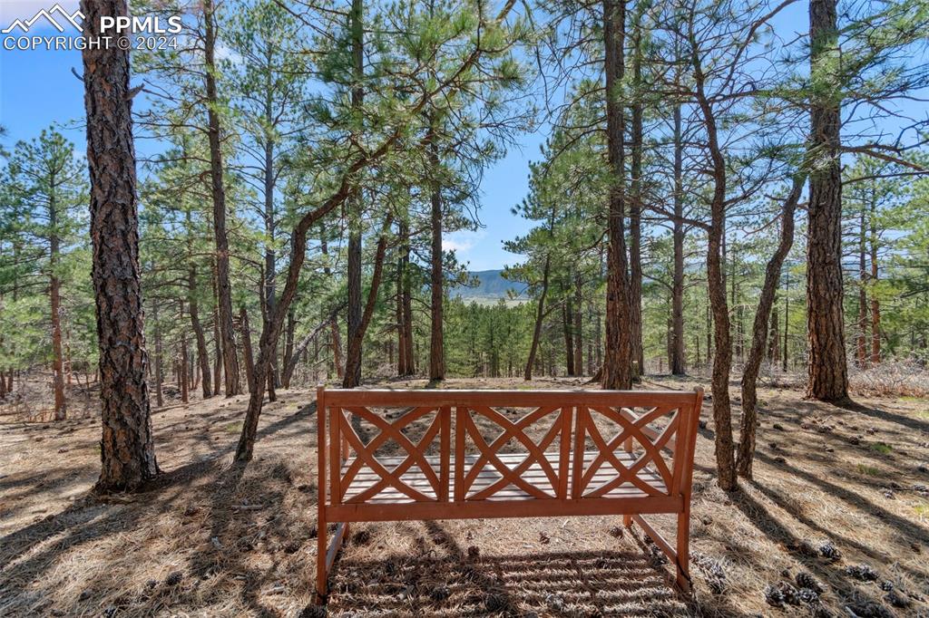 5090 South Perry Park Road Sedalia, CO 80135 - Photo 45 of 50 a view of a chairs and table in the backyard