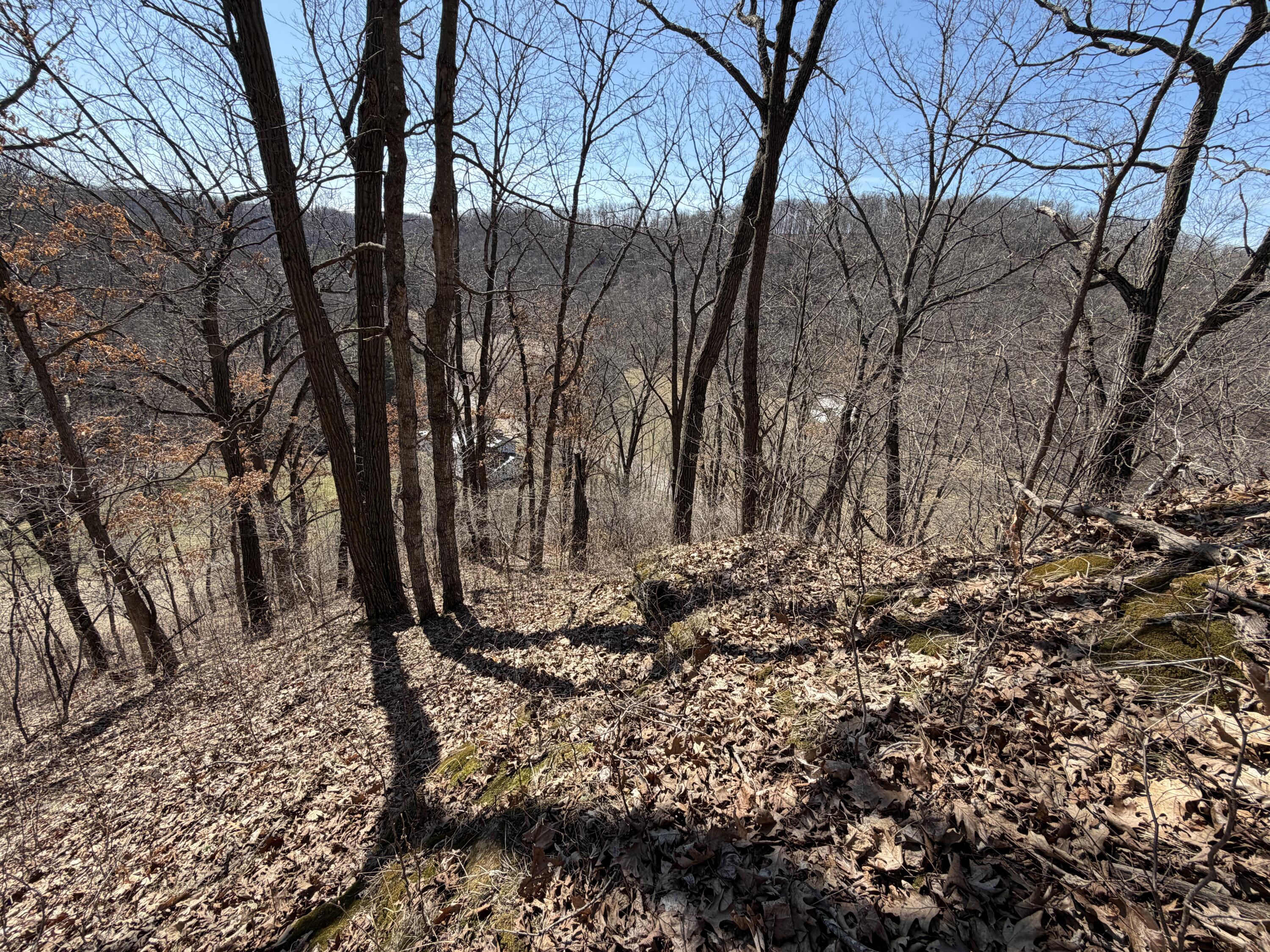 E10880 County Road P Clinton, WI 54667 - Photo 42 of 63 Atop The Ridge