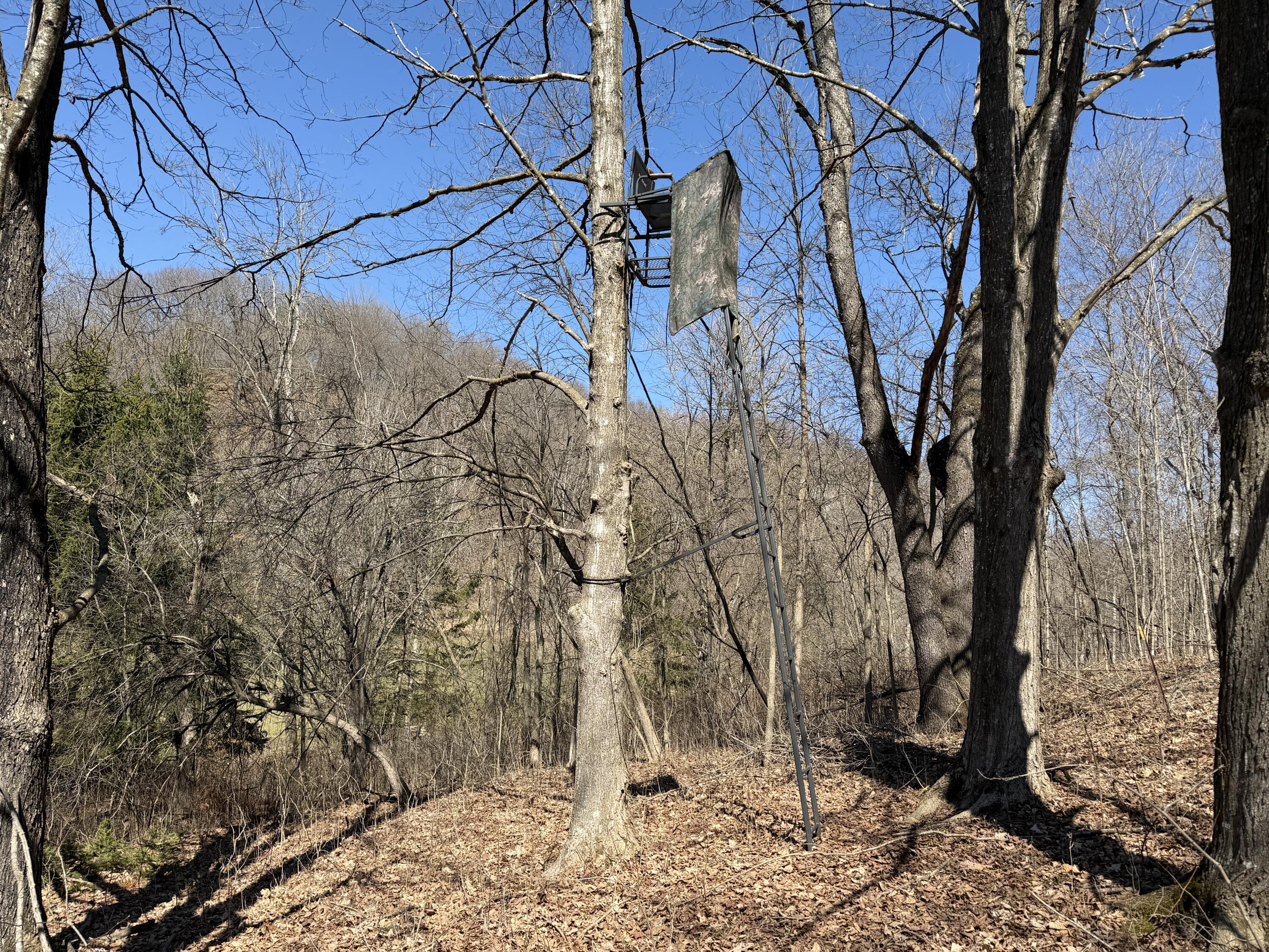 E10880 County Road P Clinton, WI 54667 - Photo 43 of 63 Hunting Stands Included