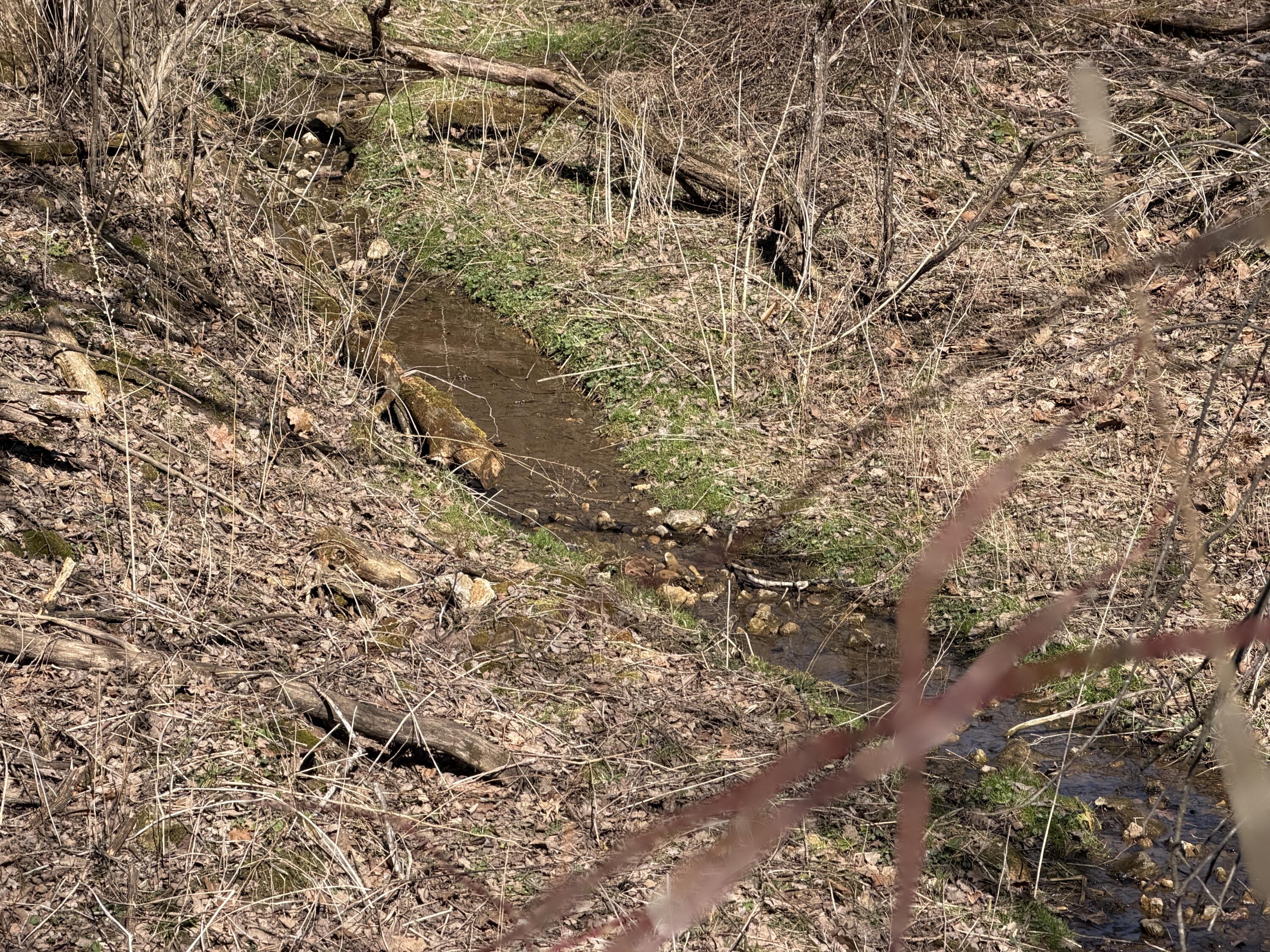 E10880 County Road P Clinton, WI 54667 - Photo 44 of 63 Natural Spring