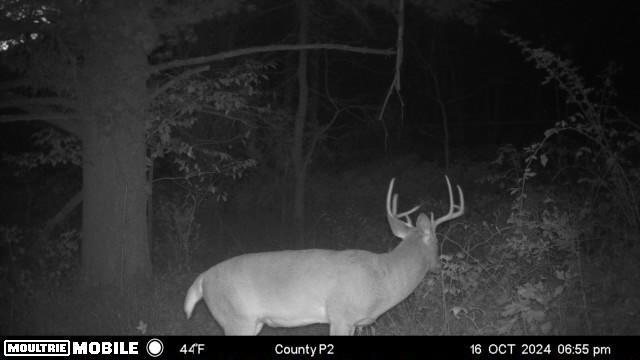 E10880 County Road P Clinton, WI 54667 - Photo 48 of 63 IMG_1247