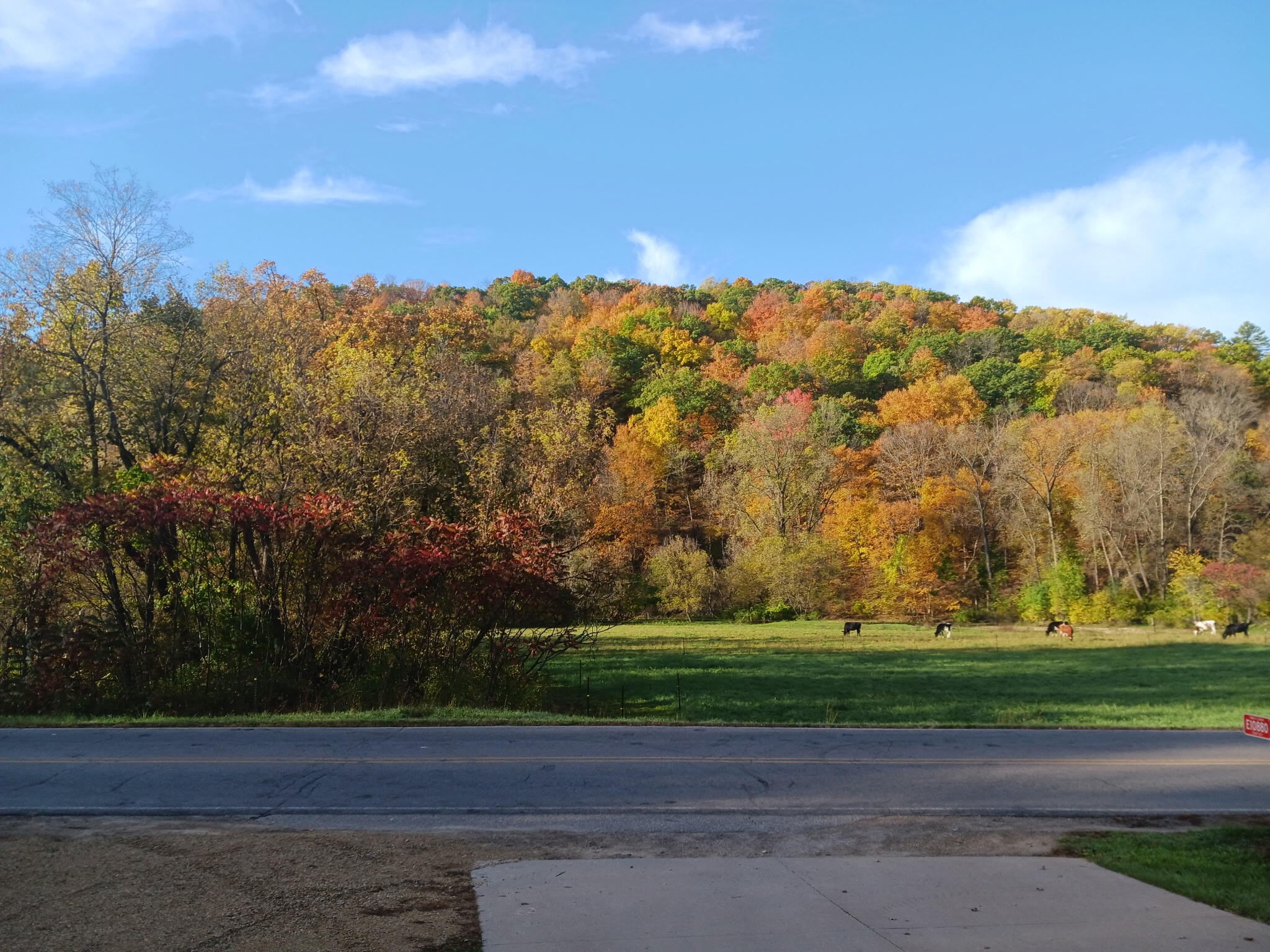 E10880 County Road P Clinton, WI 54667 - Photo 50 of 63 Beautiful Fall View Across the Street