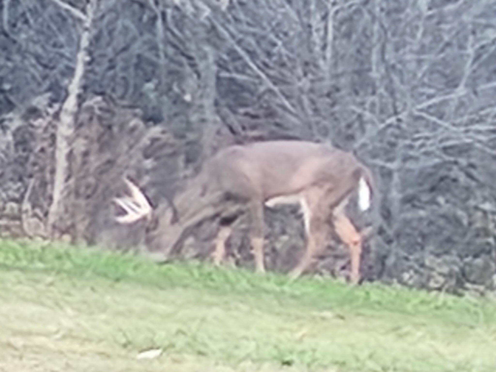 E10880 County Road P Clinton, WI 54667 - Photo 51 of 63 IMG_1257