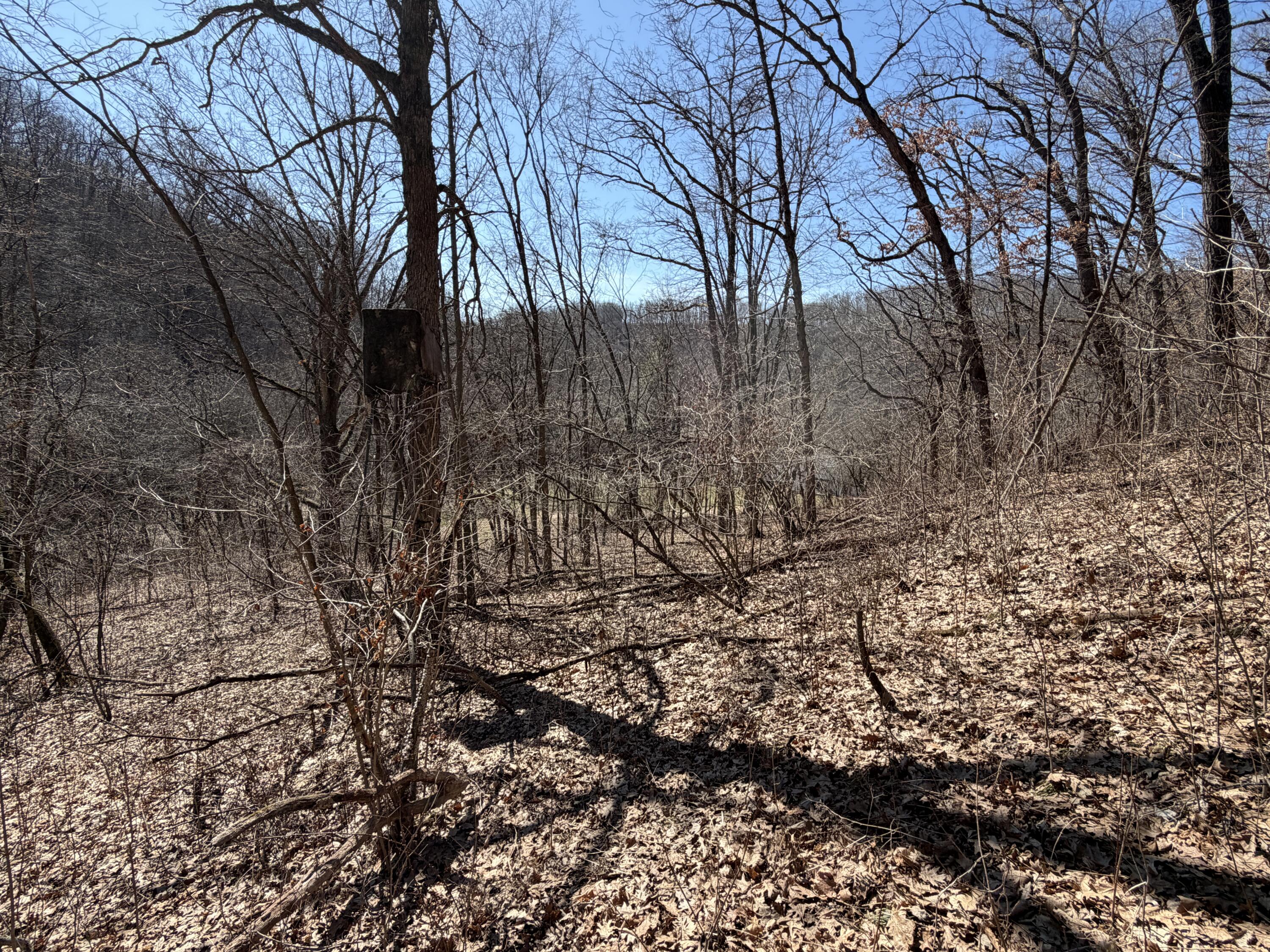 E10880 County Road P Clinton, WI 54667 - Photo 54 of 63 20260323_163146755_iOS