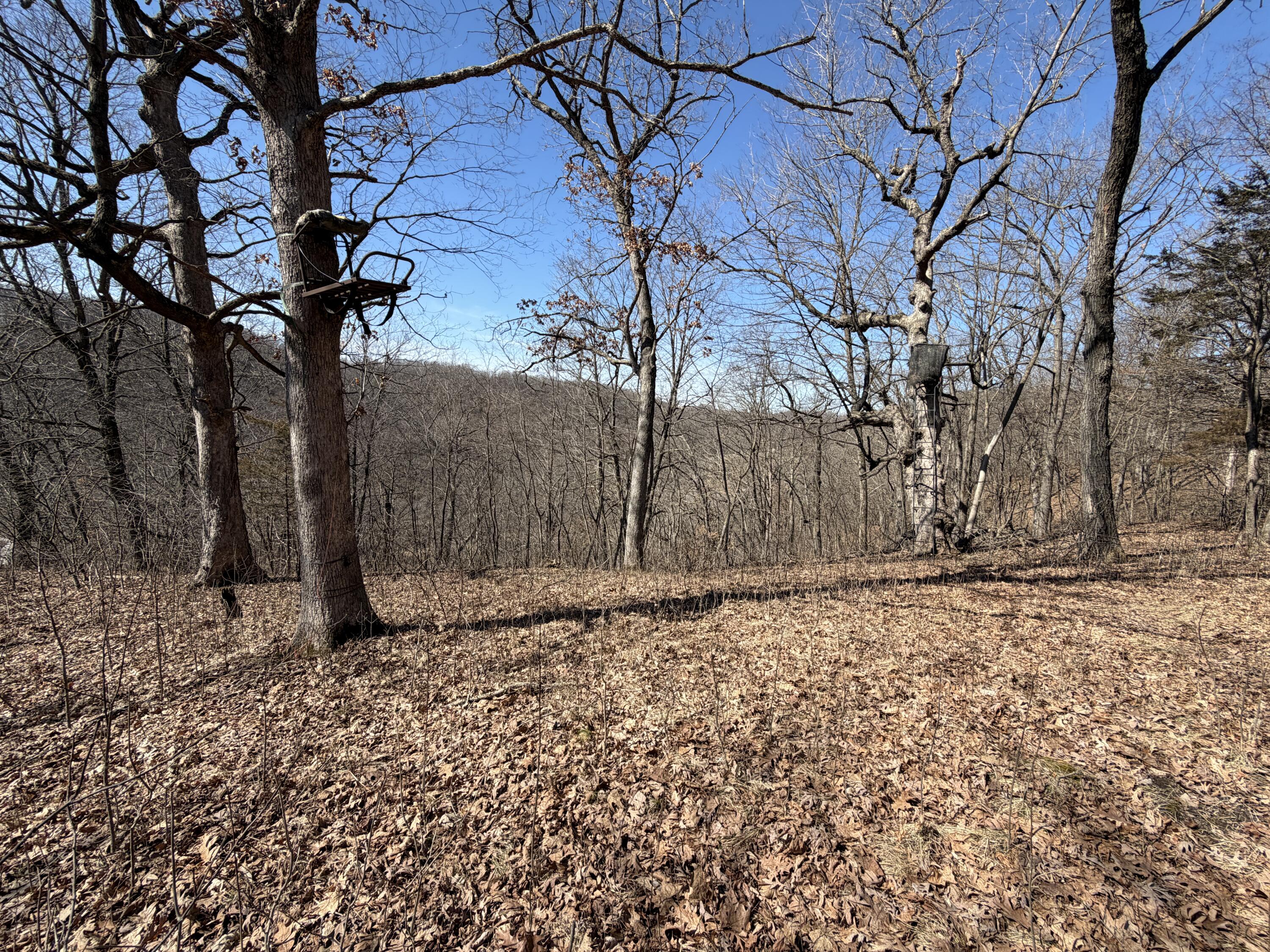 E10880 County Road P Clinton, WI 54667 - Photo 55 of 63 20260323_163657917_iOS