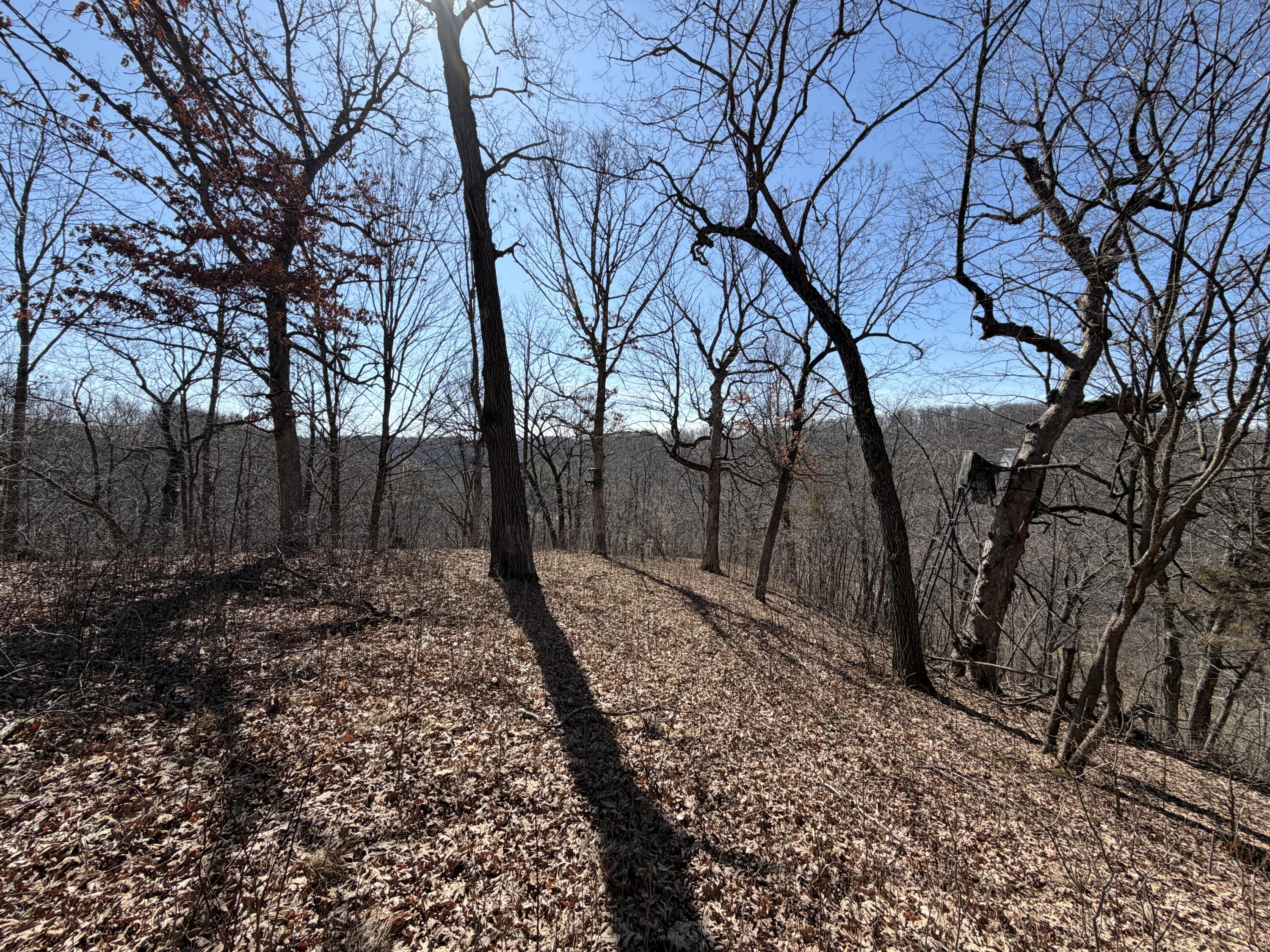 E10880 County Road P Clinton, WI 54667 - Photo 56 of 63 20260323_163801375_iOS