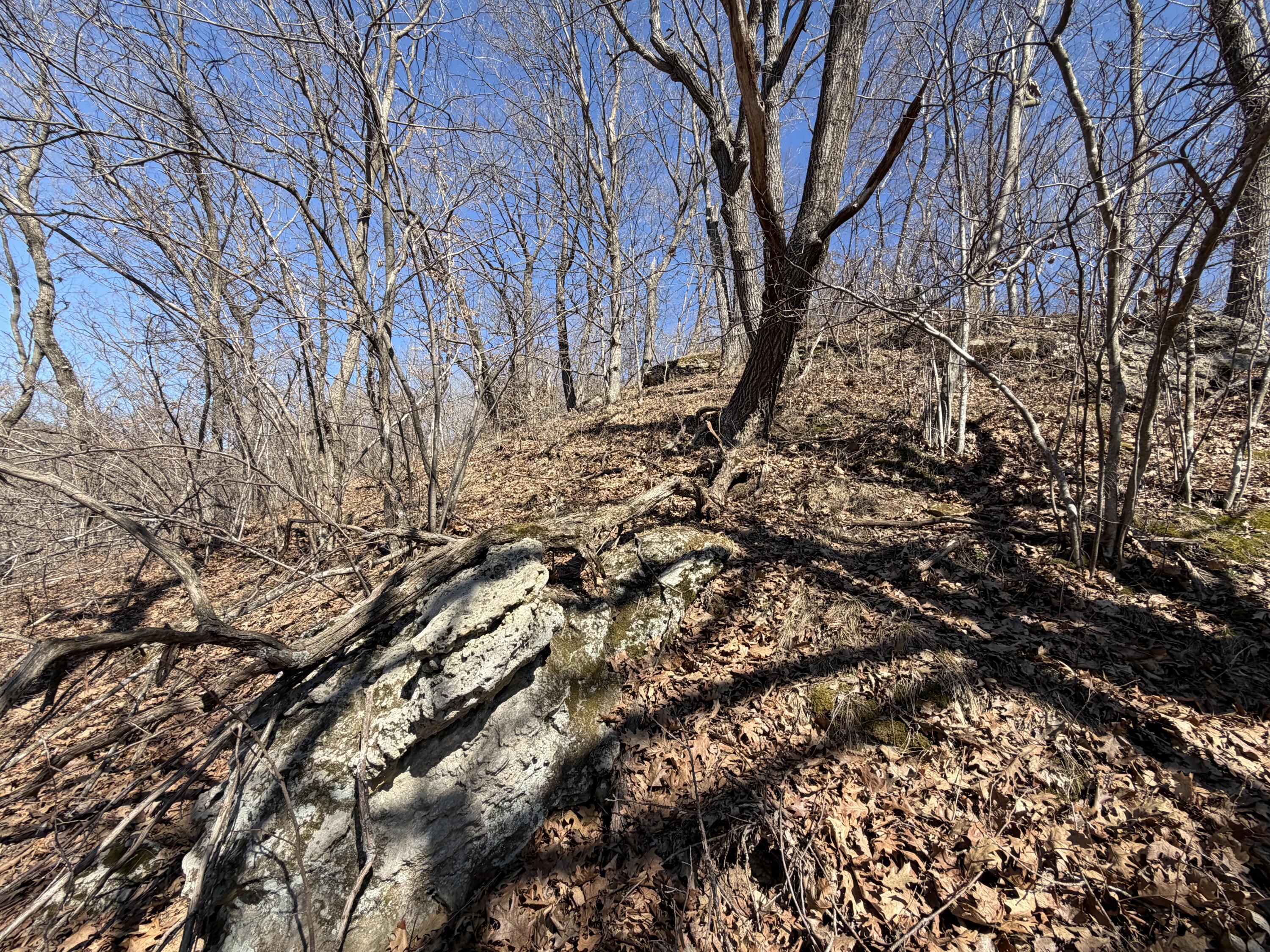 E10880 County Road P Clinton, WI 54667 - Photo 57 of 63 Rock Outcroppings