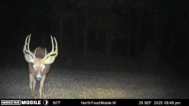 E10880 County Road P Clinton, WI 54667 - Photo 7 of 63 A Hunting Retreat