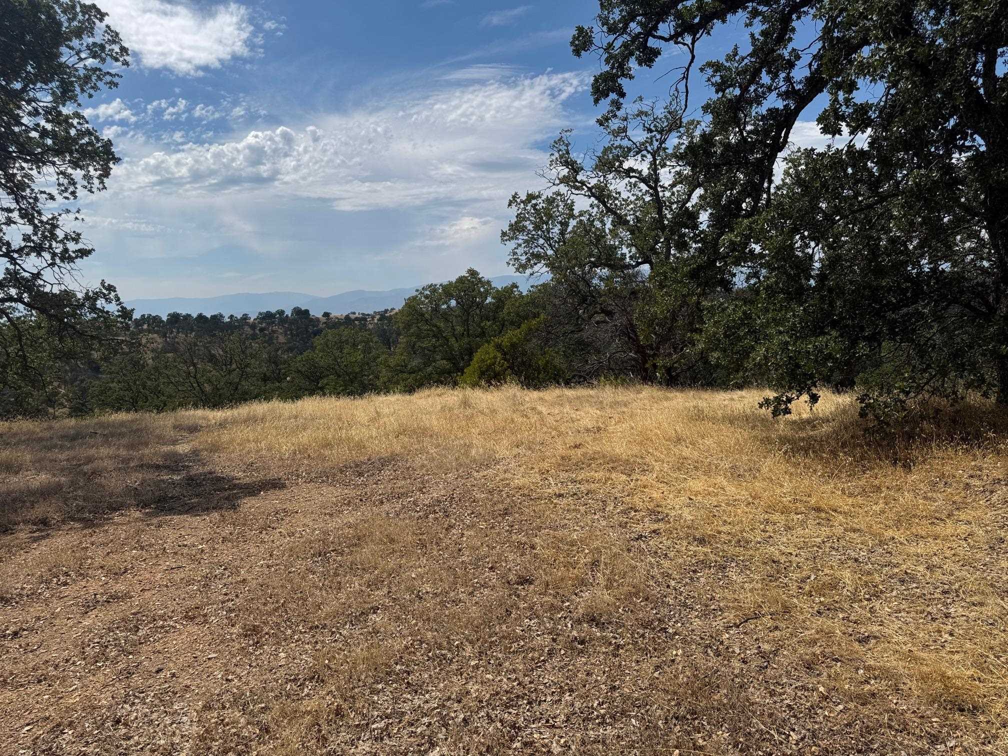 16173 Nugget Road Corning, CA 96021 - Photo 6 of 21