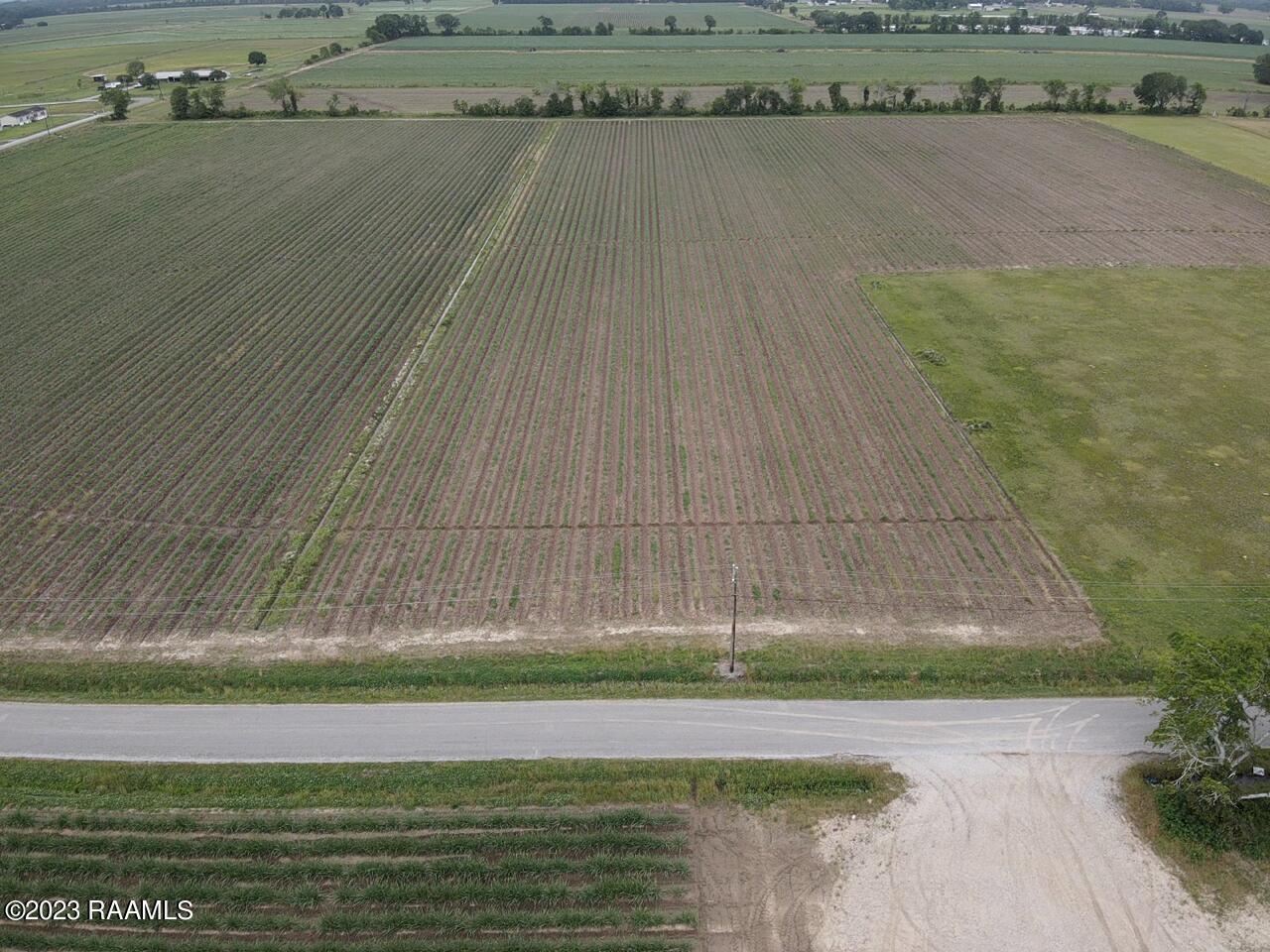 Tba Albert Road Abbeville, LA 70510 - Photo 4 of 7