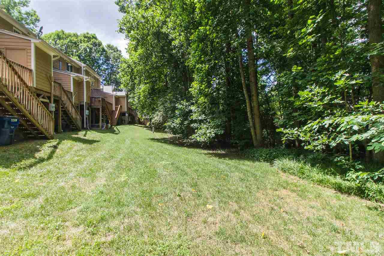 4451 Antique Lane Raleigh, NC 27616 - Photo 20 of 24 a tall tree in middle of green field