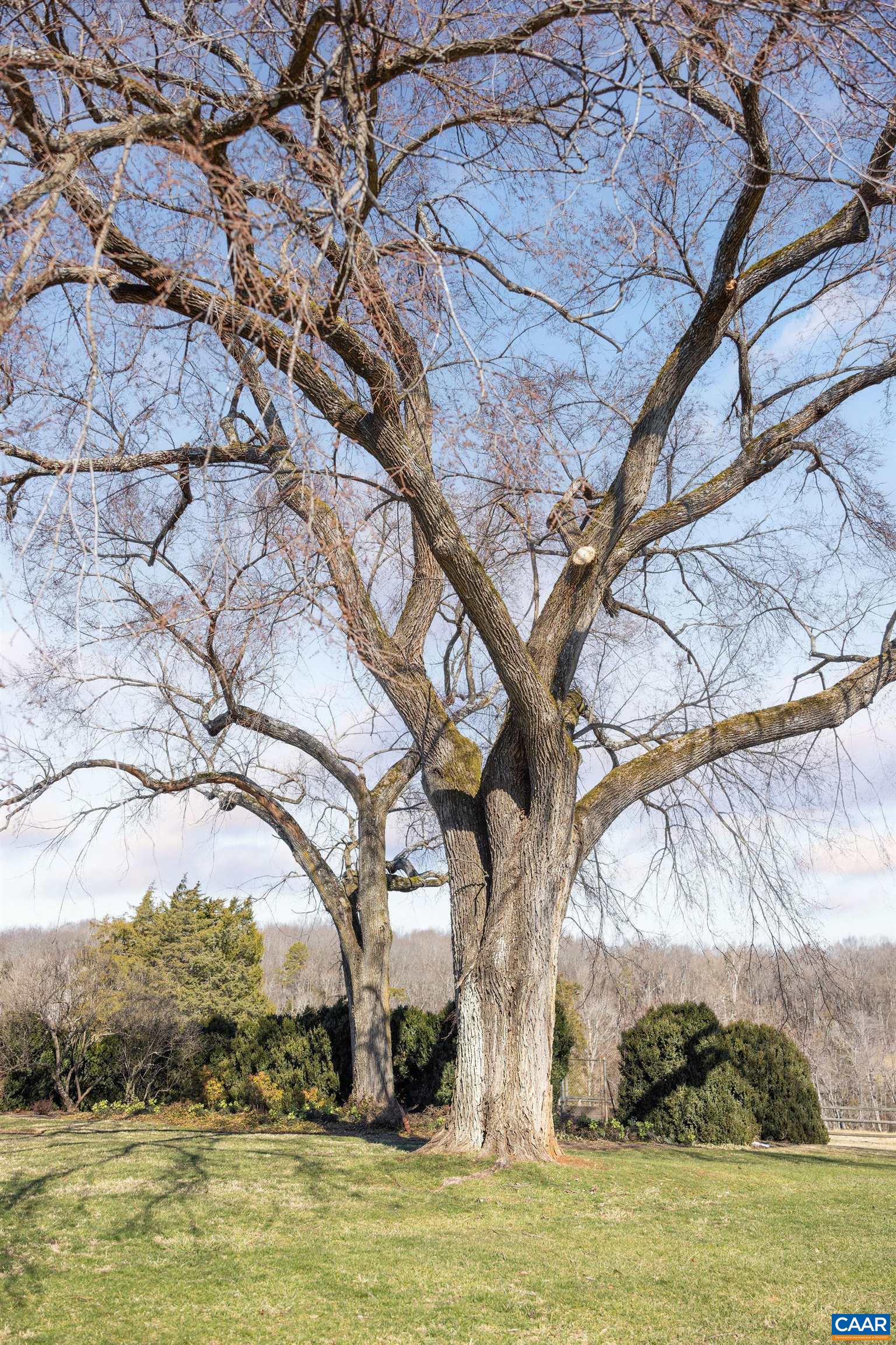 2328 Liberty Corner Road Esmont, VA 22937 - Photo 45 of 75